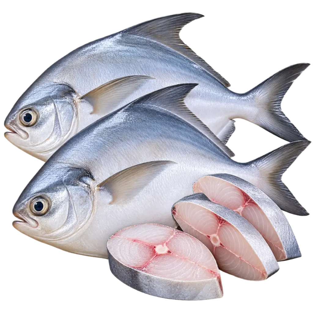 Fresh Pomfret Fish
