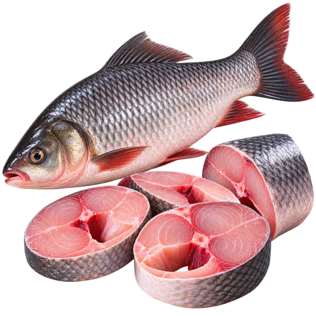 Fresh Rohu Fish